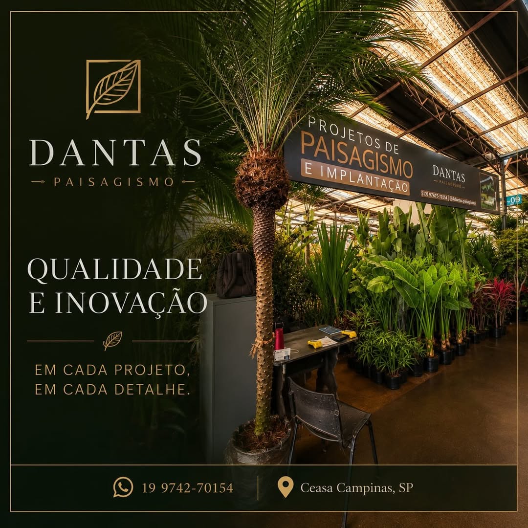 Loja Dantas Paisagismo no mercado de flores da Ceasa Campinas, com palmeiras e plantas tropicais
