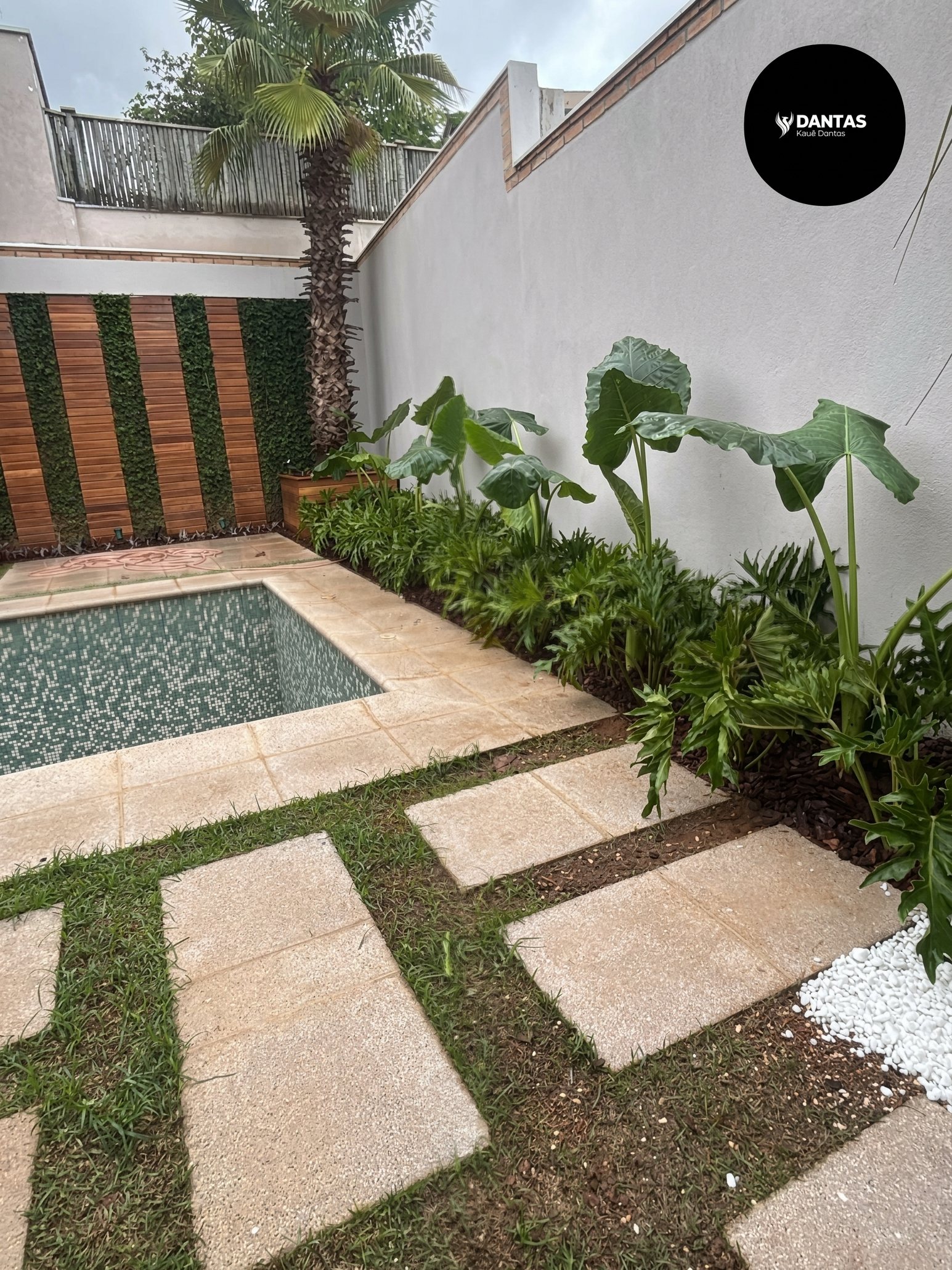 Folhagens tropicais e caminho de pedras ao redor de uma piscina