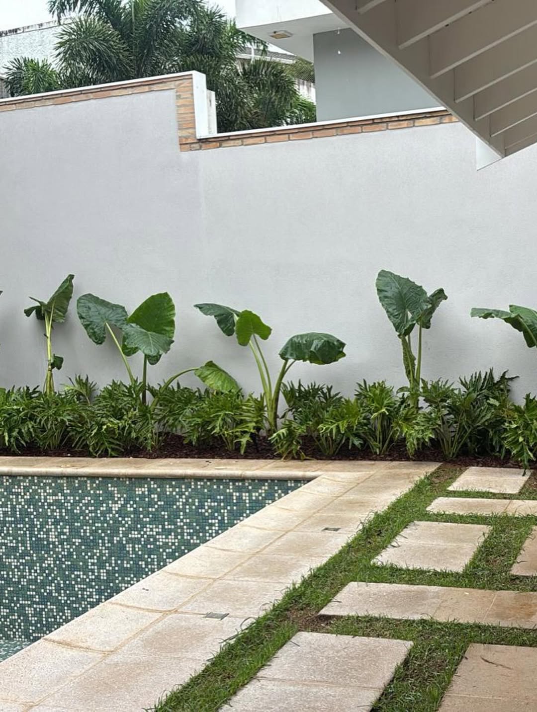 Folhagens tropicais ao redor da piscina